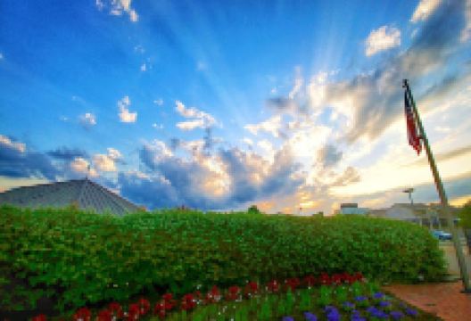Bicentennial Veterans Memorial Park景点图片