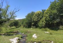Camping de Guayascate景点图片