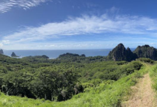 Hiking trail- Col du Ga Wiveak Hienghen景点图片