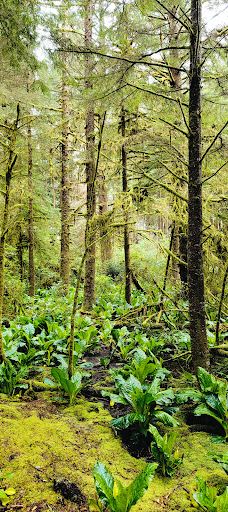East Devil's Lake State Recreation Area-林肯县