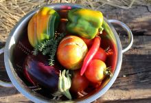 Mount of Oaks景点图片