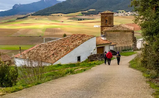 Encina de las Tres Patas