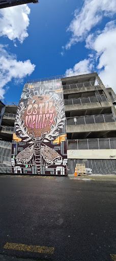 卡朗加黑皮路-奥克兰