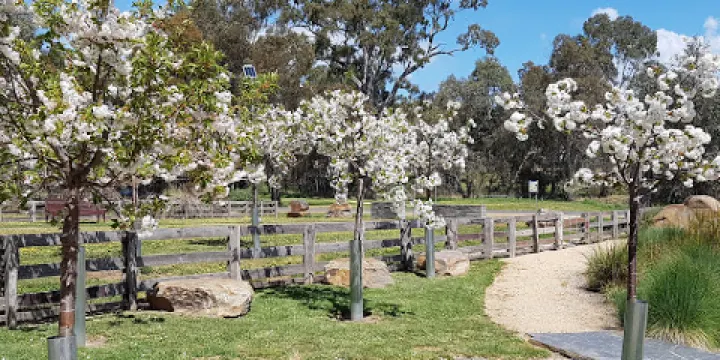 Avoca Chinese Garden