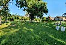 Barfusspark Birsfelden景点图片