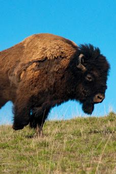 米苏拉KOA霍利迪-米苏拉