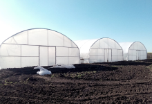IMD Horticulture Systems购物图片