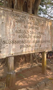 Yoda Lake-汉班托特