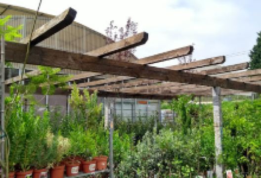 Cambra Jardim, Lda. | Garden Center购物图片