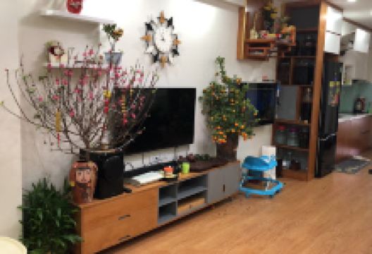 Quất đẹp Nghĩa Long购物图片