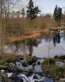 Talking Water Gardens-奥尔巴尼