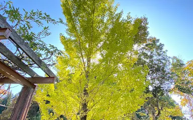 Hakusanroku Theme Park Yoshioka Enchi