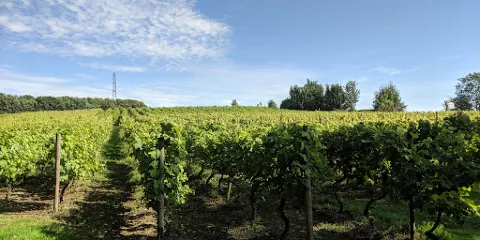 Leventhorpe Vineyard