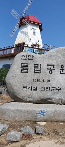 Sinan Tulip Festival-新安郡