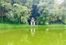 Dhampus Eco Park景点图片