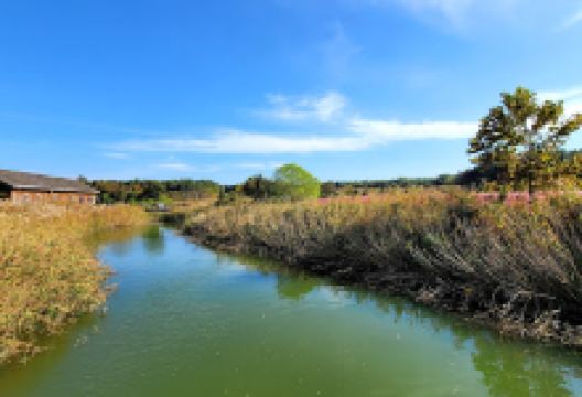 茁浦满山坡生态公园景点图片