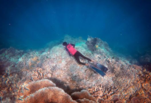 Bunaken Marine Park景点图片