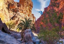 Grand Canyon Park, Anti Atlas, Morocco景点图片