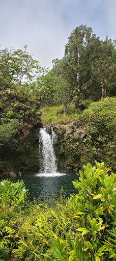 Ko'olau Forest Reserve-茂宜县
