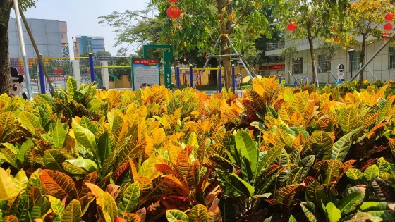李松蓢社區公園