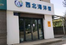 西北海洋馆景点图片