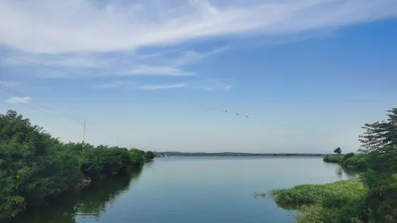 豐城葯湖國家濕地公園