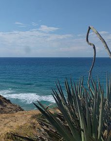 Sharon Reserve-Hof HaSharon