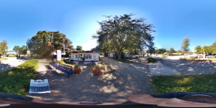 Gulf Coast Arts Alliance