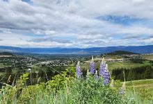 sntsk'il'ntən - Black Mountain Regional Park景点图片