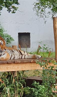 Öland Zoo and Amusement Park-默尔比隆阿