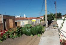 Praça Bonfim景点图片