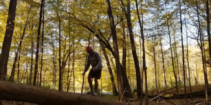 Paw Paw Woods Nature Preserve