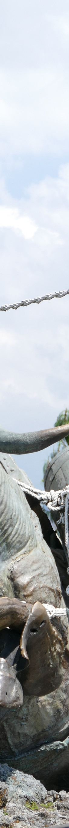 Monumento a los Colonizadores-马尼萨莱斯