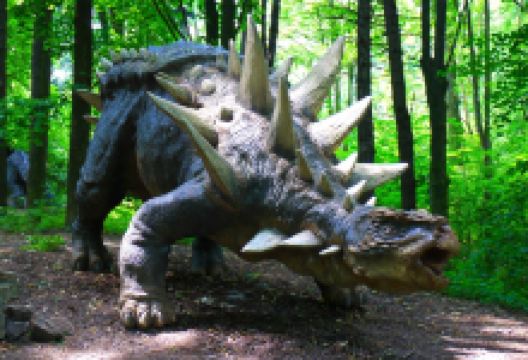 DinoPark Vyškov景点图片