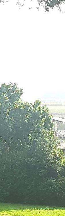 Zappa Amphi Shuni-Binyamina-Giv'at Ada