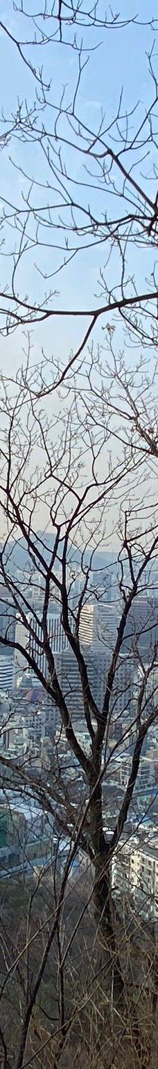 南山公园-首尔