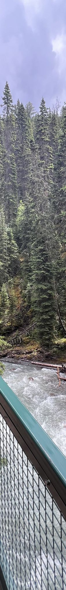 强斯顿峡谷-Improvement District No. 9