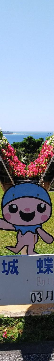 琉宫城蝴蝶园-本部町