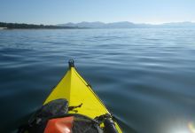 庆野松原海水浴场景点图片