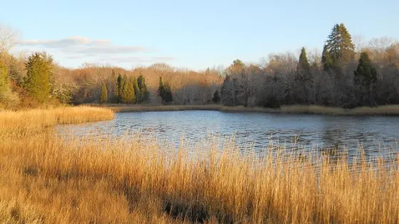 Emilie Ruecker Wildlife Refuge