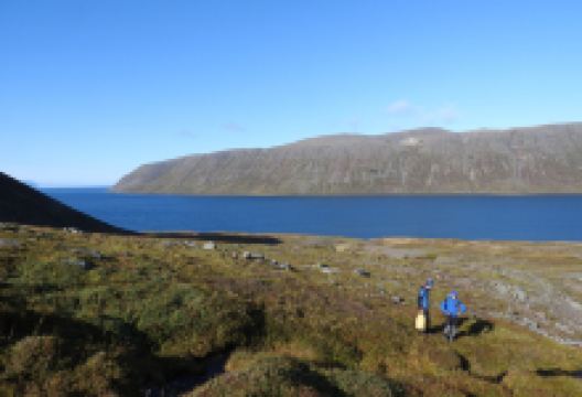 Hornstrandir Nature Reserve景点图片