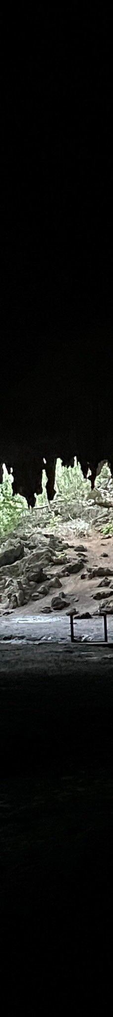 Grotte de Hortense-松树岛