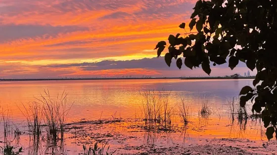 Meaher State Park