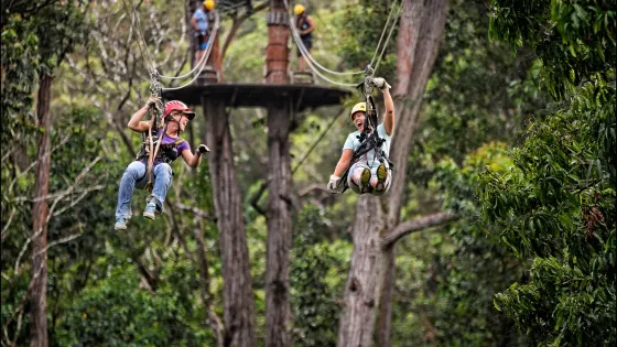 Kohala Zipline