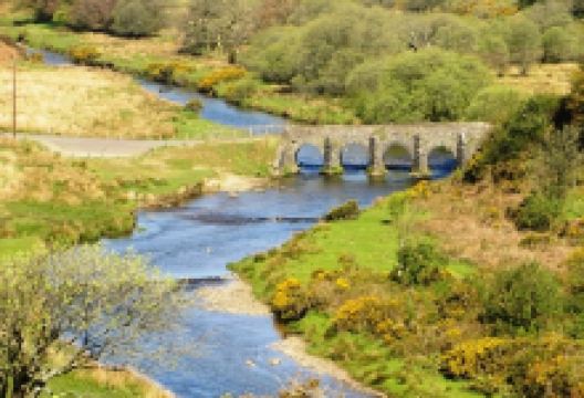 Dulverton National Park Centre景点图片