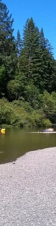 Johnson's Beach-盖尔南韦尔