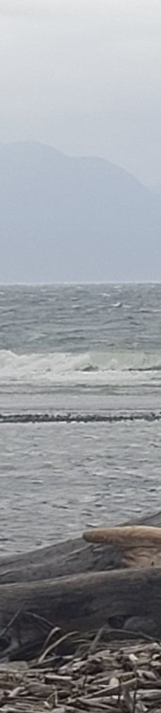 Rebecca Spit Marine Provincial Park-奎德拉岛