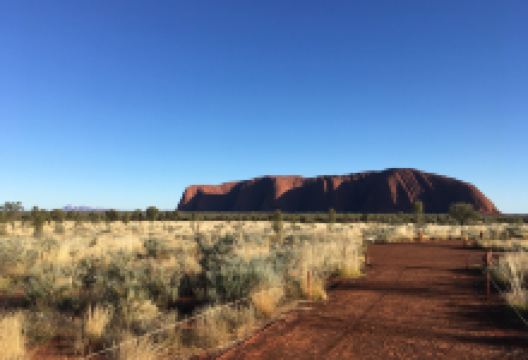 Maruku Arts景点图片