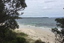 Cabbage Tree Beach景点图片