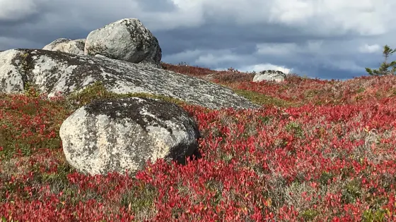 Swissair Flight 111 Memorial